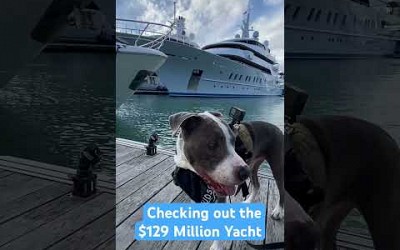 $129 Million Yacht Miami Boat Show #DBMIBS #cutedog #boat #boating  #dogshorts #doglover #doglife