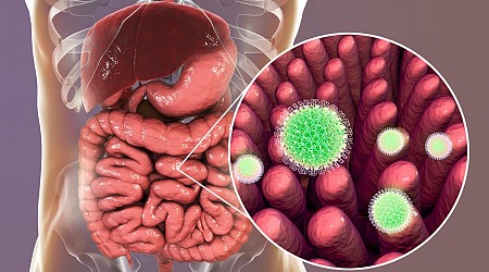 فيروس الروتا: الأعراض، الأسباب، العلاج