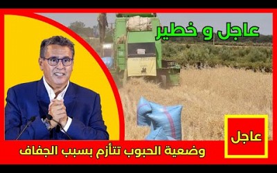 عاجل.. وضعية الحبوب تتأزم بسبب الجفاف التفاصيل في أخبار اليوم على القناة الثانية 2M