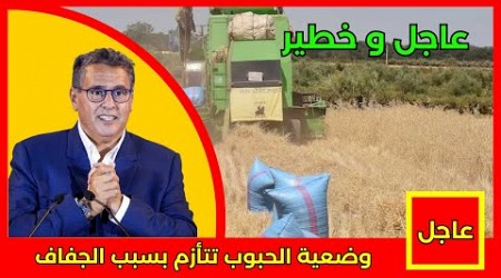 عاجل.. وضعية الحبوب تتأزم بسبب الجفاف التفاصيل في أخبار اليوم على القناة الثانية 2M