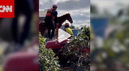ظل عالقًا لـ4 أيام.. شاهد لحظة إنقاذ حصان حاصرته مياه الفيضانات في البرازيل