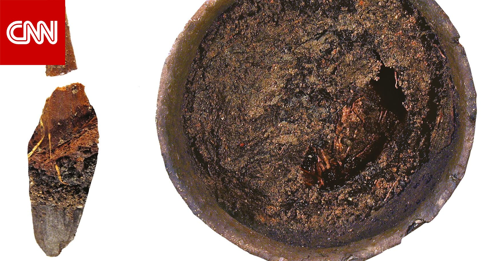 اكتشاف وجبة عشاء عمرها 3 آلاف عام في "بومبي البريطانية".. ما مكوناتها؟