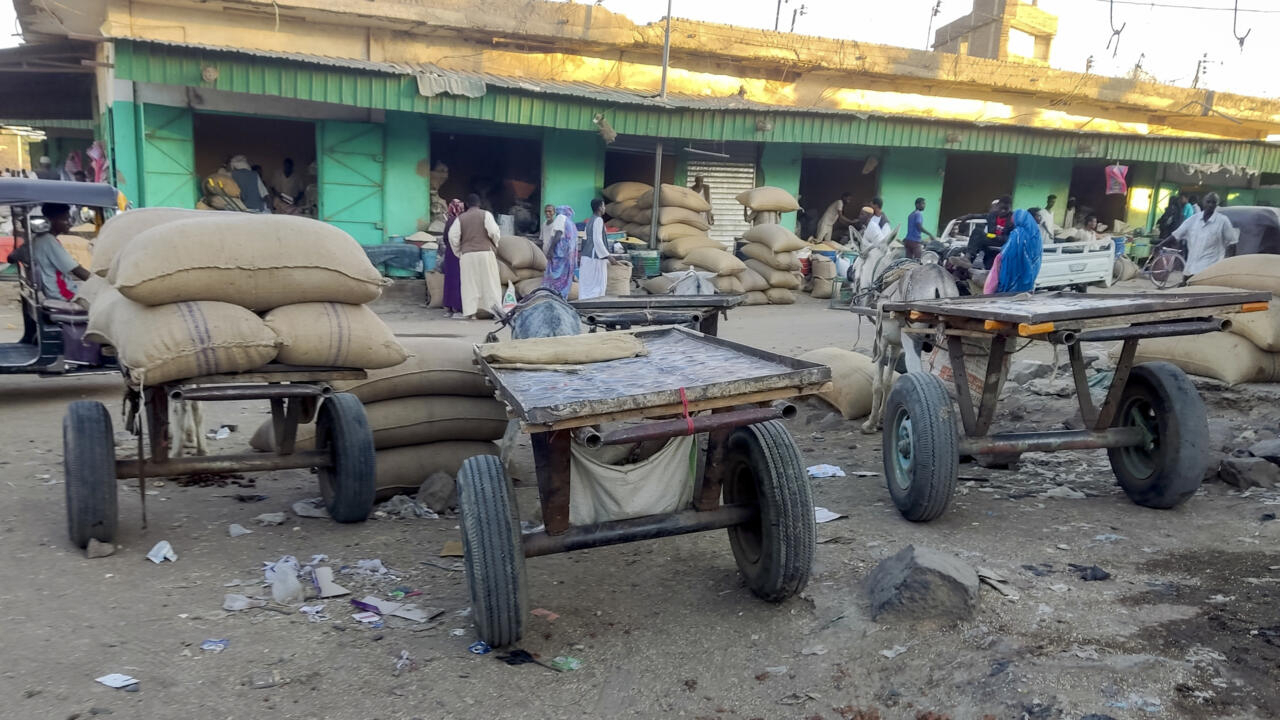 برنامج الأغذية العالمي يحذر من تفاقم الجوع في السودان ويدخل مساعدات إلى دارفور