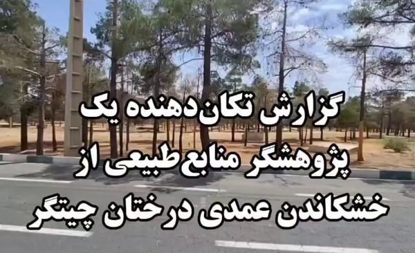 گزارش تکان‌دهنده یک پژوهشگر منابع طبیعی از «خشکاندن عمدی درختان چیتگر» + ویدئو